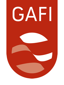 GAFI, Groupe d'action financière